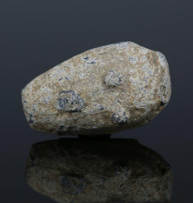 Oud-Grieks Lood Sling bullet (Zonder Minimumprijs), Verzamelen, Mineralen en Fossielen