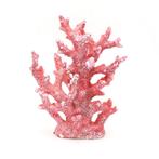 Kunstkoraal 23cm / Aquariumdecoratie As-264 (Hardscaping), Verzenden, Gevuld zeewateraquarium