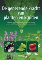 De genezende kracht van planten en kruiden 9789044735826, Boeken, Verzenden, Zo goed als nieuw, Penelope Ody