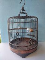 Art Nouveau Vogelkooi - Bamboe, Hout, Keramiek, Antiek en Kunst