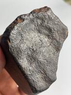 Chondriet Chondrite meteoriet - 435 g - (1), Verzamelen, Mineralen en Fossielen