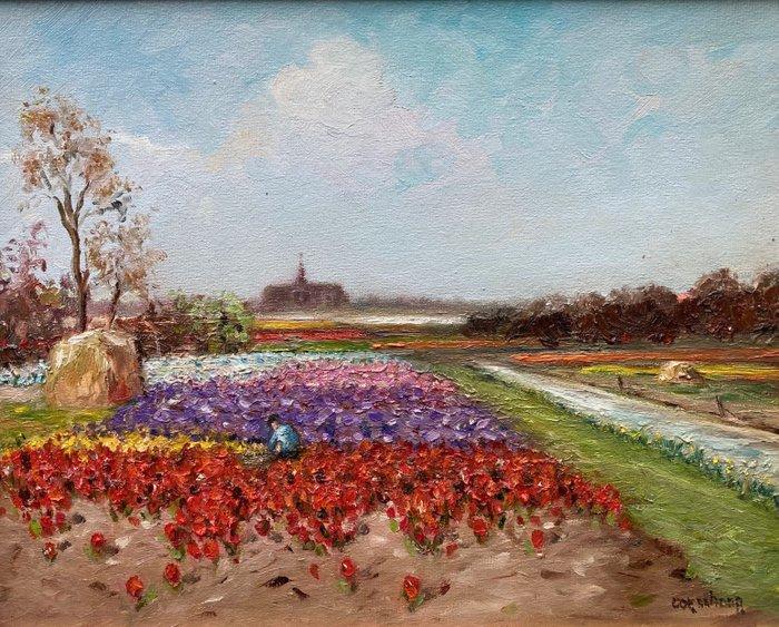 Cor Schaap (1968) - Bollenvelden in bloei, Antiquités & Art, Art | Peinture | Classique