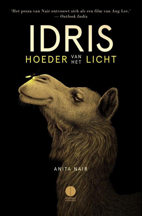 Idris, hoeder van het licht (9789025448240, Anita Nair), Boeken, Romans, Nieuw, Verzenden