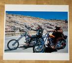 Colect. Chistophe L. - Dennis Hopper et Jack Nicholson, Easy