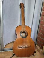 Ispana - Jerez - - Guitare flamenco - Espagne - 1950 (Sans, Muziek en Instrumenten, Nieuw