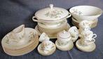 Richard Ginori - Tafelservies (39) - Porselein - Madeliefjes