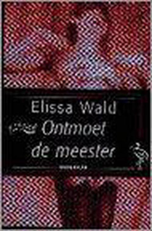 ONTMOET DE MEESTER (OOIEVAAR) 9789057130038 E. Wald, Boeken, Romans, Gelezen, Verzenden