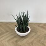 kunst Sanseveria met Elho kunststof plantenbak hoogte 90 cm,, Huis en Inrichting, Kamerplanten