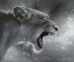Ewa Switala - Lioness