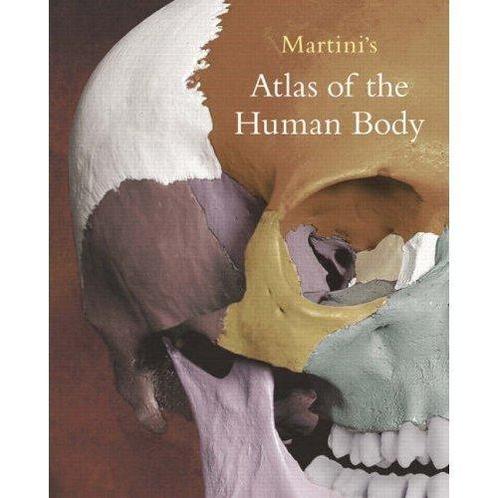 Martinis Atlas of the Human Body 9780131461239, Livres, Livres Autre, Envoi