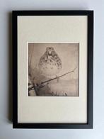 Jan Mankes (1889-1920) - Lijster op tak, Antiquités & Art