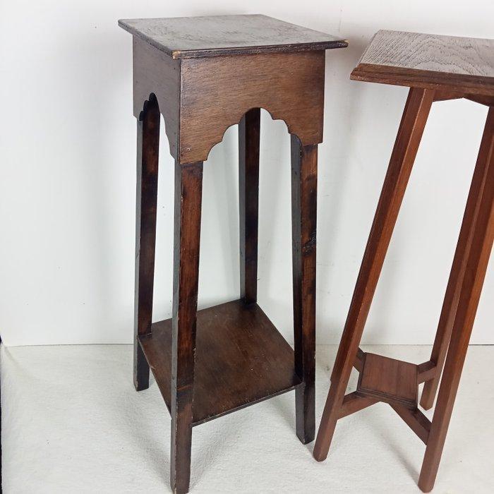 Plantentafel - Eik - Twee Bijzettafel / Piëdestals, Antiek en Kunst, Kunst | Designobjecten