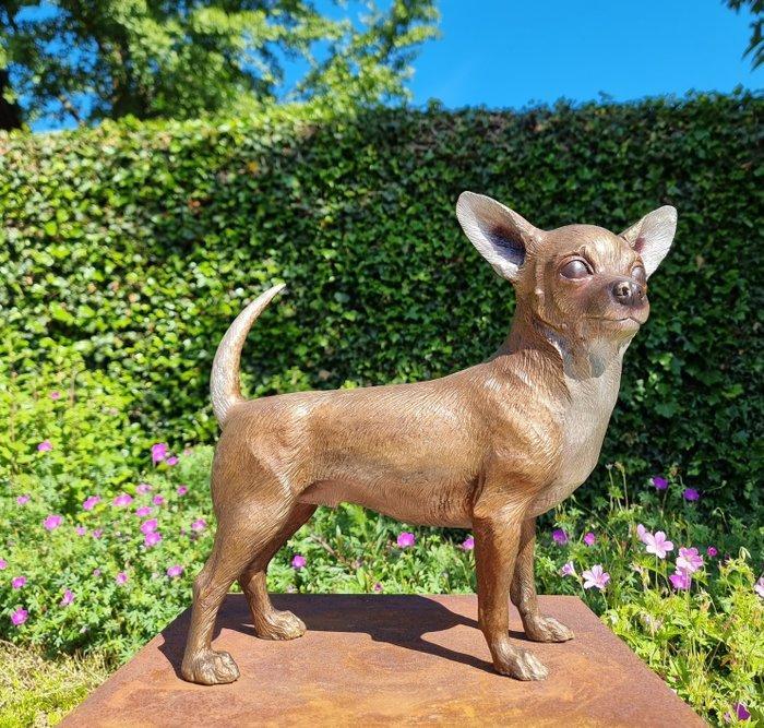 Beeldje - Chihuahua - hond - Brons, Antiquités & Art, Curiosités & Brocante