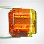 1 pcs Groen, Tweekleurig, Oranje, Geel Toermalijn - 16.54 ct, Nieuw