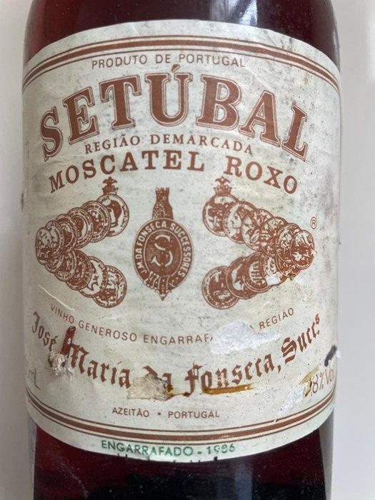 José maria da Fonseca bottled 1966 - Setúbal - 1 Fles (0,75, Verzamelen, Wijnen