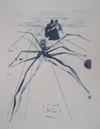 Salvador Dali (1904-1989) - Purgatoire 17 : Quittant la, Antiquités & Art