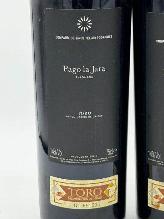2002 Compañía de Vinos Telmo Rodriguez, Pago la Jara - Toro, Verzamelen, Wijnen