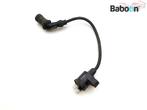 Bobine Derbi Boulevard 125 2003-2007, Motoren, Gebruikt