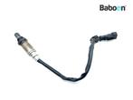 Capteur doxygène Piaggio | Vespa GTS 300 IE 2014-2016, Verzenden, Nieuw