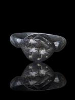 Keltisch Stunning Military Dog Seal Ring (Zonder