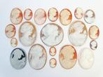 Schelp Replica Cameo - Verzameling 20x (Zonder minimumprijs)