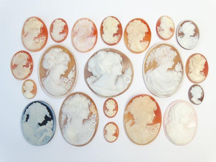 Schelp Replica Cameo - Verzameling 20x (Zonder minimumprijs), Antiek en Kunst, Antiek | Overige Antiek