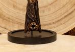 Vleermuis Taxidermie volledige montage - Cynopterus minitus, Antiek en Kunst