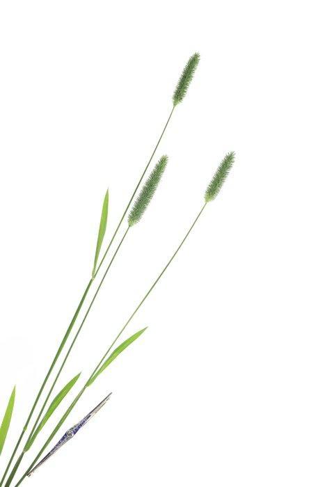 Broche - 18 karaat Geel goud - 0.31ct. tw. Diamant, Handtassen en Accessoires, Antieke sieraden