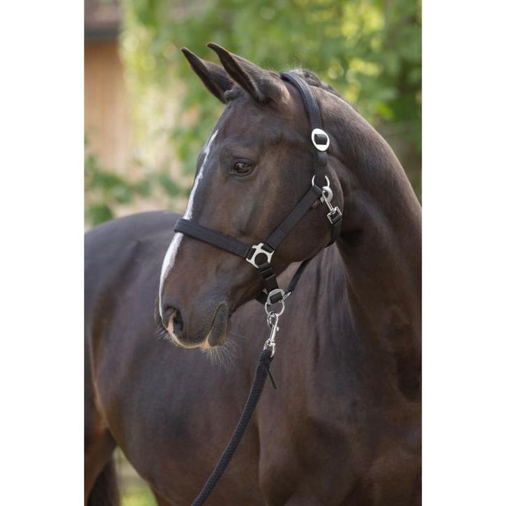 Licol doria, black, poney  - kerbl, Dieren en Toebehoren, Paarden en Pony's | Overige Paardenspullen