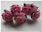 Mulberry Roosjes Rose 10-15 mm pak, Nieuw