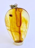 Authentiek Baltisch amber met fossiel insect VLUCHT-inzet,, Nieuw