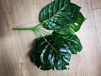 Monstera kunstPLANTMedium VT Wonen Botanical, Nieuw