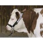 Licol pour vaches en trévira avec chaîne jugulaire + anneau, Articles professionnels