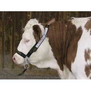 Licol pour vaches en trévira avec chaîne jugulaire + anneau, Zakelijke goederen, Landbouw | Veevoer