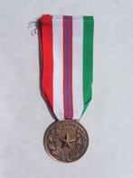 Italie - Médaille militaire - Loterie, médailles, insignes, Verzamelen, Militaria | Tweede Wereldoorlog