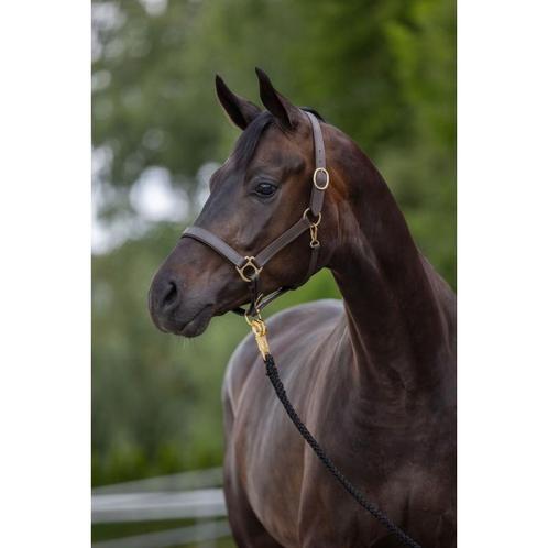 Halster eco, warmbloed, leder - bruin - kerbl, Dieren en Toebehoren, Paarden en Pony's | Overige Paardenspullen, Nieuw