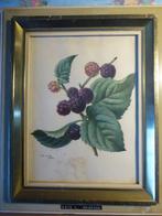 Kate L. Andrade (1893-1929) - De Bessen