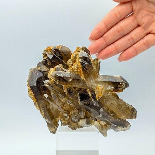 Zeldzame RUSSISCHE ROOKKWARTS, licht CITRIEN, met GEKRUISTE, Verzamelen, Mineralen en Fossielen