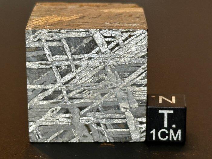 Aletai meteoriet Kubus - Hoogte: 29 mm - Breedte: 29 mm -, Verzamelen, Mineralen en Fossielen