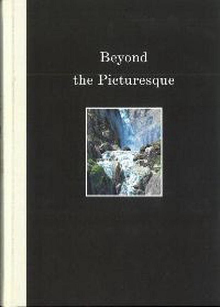 Beyond the picturesque 9789075679335, Boeken, Kunst en Cultuur | Beeldend, Zo goed als nieuw, Verzenden
