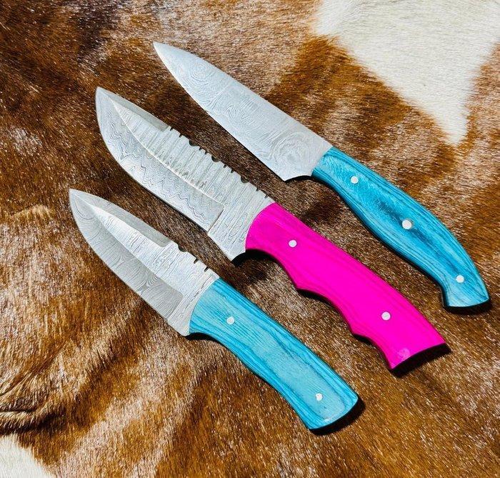 Keukenmes - Keukenmessenset (0179) - Exotisch houten handvat, Antiquités & Art, Antiquités | Ustensiles de cuisine