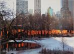 Christo (1935-2020) - The Gates : Central Parc New York city, Antiek en Kunst