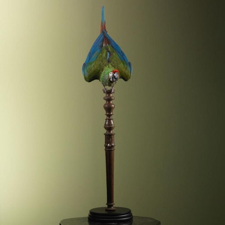 Soldatenara Taxidermie Opgezette Dieren By Max, Verzamelen, Dierenverzamelingen, Opgezet dier, Nieuw, Vogel, Ophalen of Verzenden