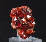 spessartine Kristallen op matrix - Hoogte: 3 cm - Breedte: 2