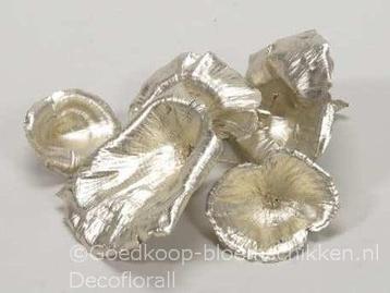 Golden mushroom platinum paddenstoel +/- 15 stuks beschikbaar voor biedingen