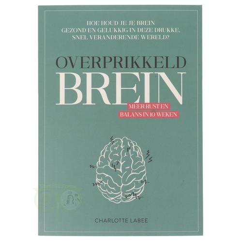 Overprikkeld brein - Charlotte Labee, Boeken, Overige Boeken, Nieuw, Verzenden