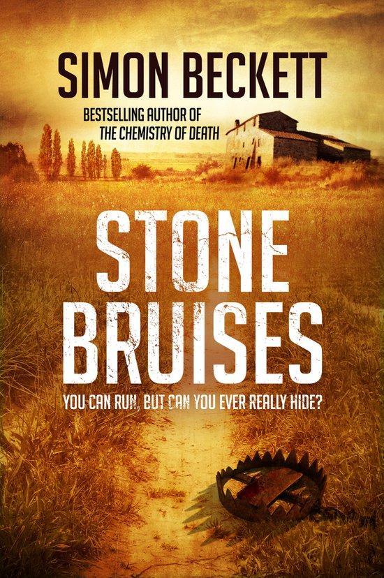 Stone Bruises 9780857502582 Simon Beckett, Boeken, Taal | Engels, Gelezen, Verzenden