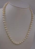 Halsketting - 14 karaat Geel goud - 6x7mm Akoya parels, Handtassen en Accessoires, Nieuw