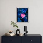 Viet Ha Tran - Light in the dark