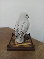 Harry Potter, Magical Creature Statue of Harry Potters owl, Nieuw